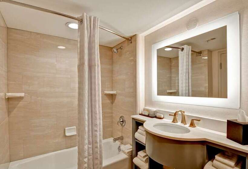 Sviitti King-vuode, Embassy Suites By Hilton Charleston Airport Convention Ctr