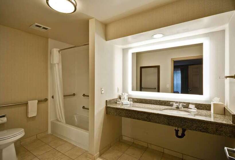 Premium-huone, Embassy Suites By Hilton Charleston Airport Convention Ctr