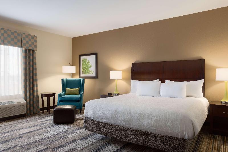 Büyük Çift Kişilik Yataklı Standart Oda, Hilton Garden Inn Abilene