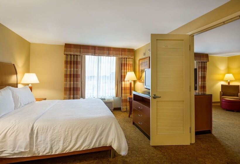 Люкс Адаптированный для Инвалидов, Hilton Garden Inn Cleveland East/mayfield Village