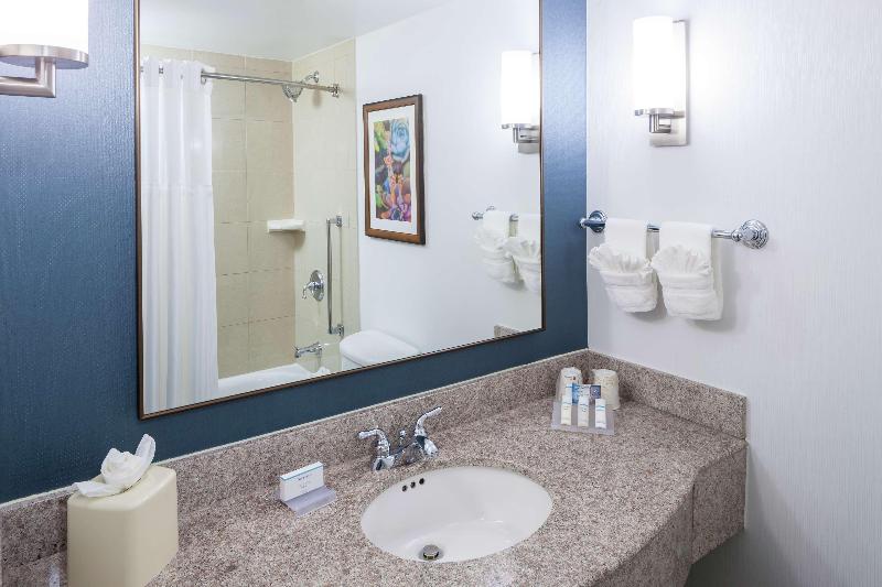 חדר סטנדרט עם מיטת קינג, Hilton Garden Inn Dallas Allen