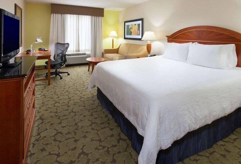 Номер Стандарт, Hilton Garden Inn Gainesville