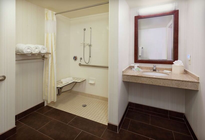 Номер Стандарт Адаптированный для Инвалидов, Hilton Garden Inn Gainesville