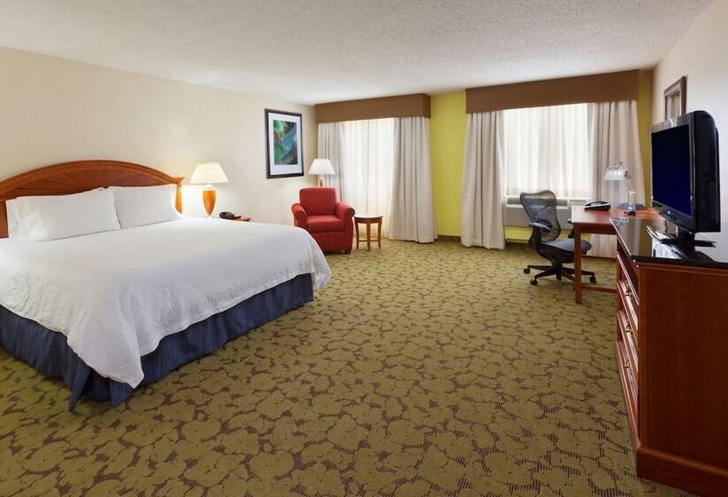 Номер Стандарт Адаптированный для Инвалидов, Hilton Garden Inn Gainesville