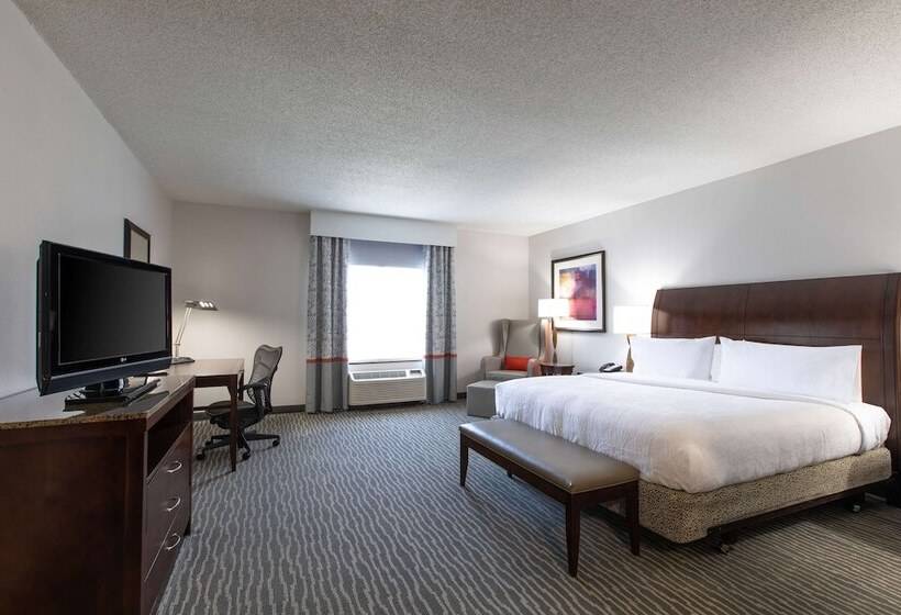 장애인을 위한 킹사이즈 침대 스탠다드 룸, Hilton Garden Inn Lynchburg