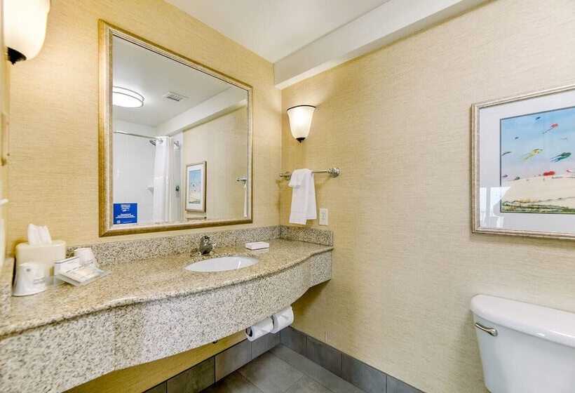 חדר סטנדרט מיטה זוגית בצד עם נוף לים, Hilton Garden Inn Outer Banks/kitty Hawk