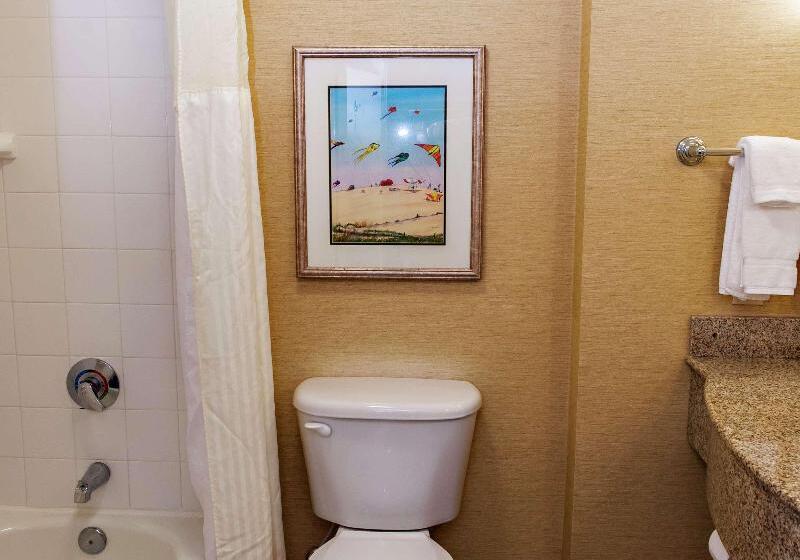 Стандартный Номер Кровать Кинг, Hilton Garden Inn Outer Banks/kitty Hawk