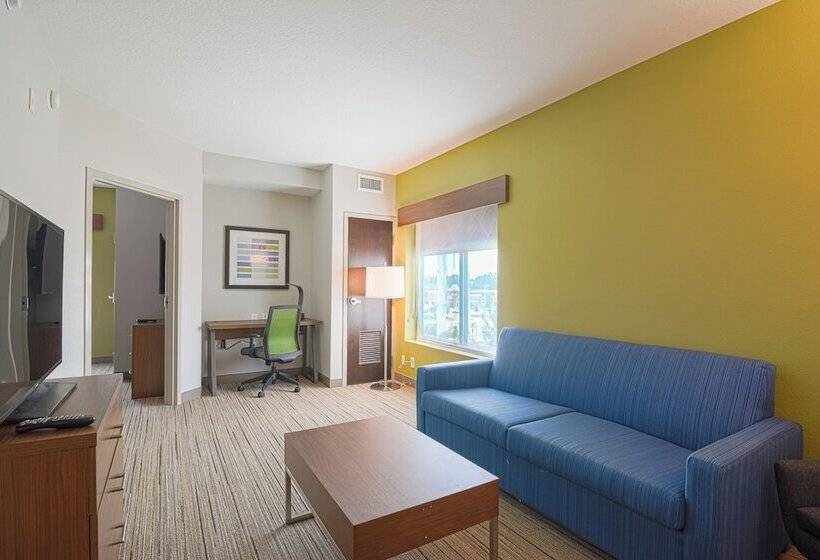 Люкс 2 Спальни, Holiday Inn Express Hotel & Suites Tampa Usf Busch Gardens, An Ihg