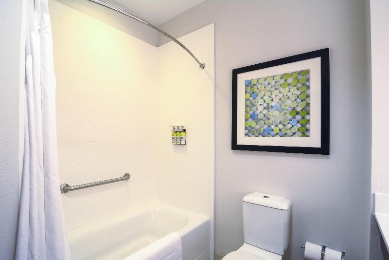 Люкс 2 Спальни, Holiday Inn Express Hotel & Suites Tampa Usf Busch Gardens, An Ihg