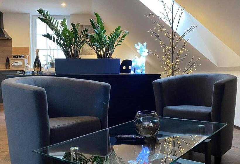 豪华工作室, Sg Apartmánový Dům Hoŕice