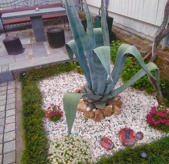 اتاق استاندارد, Sisi Guest House