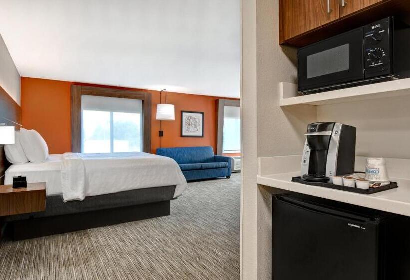 스위트 킹사이즈 침대, Holiday Inn Express Hotel & Suites Anderson I 85   Hwy 76, Exit 19b, An Ihg