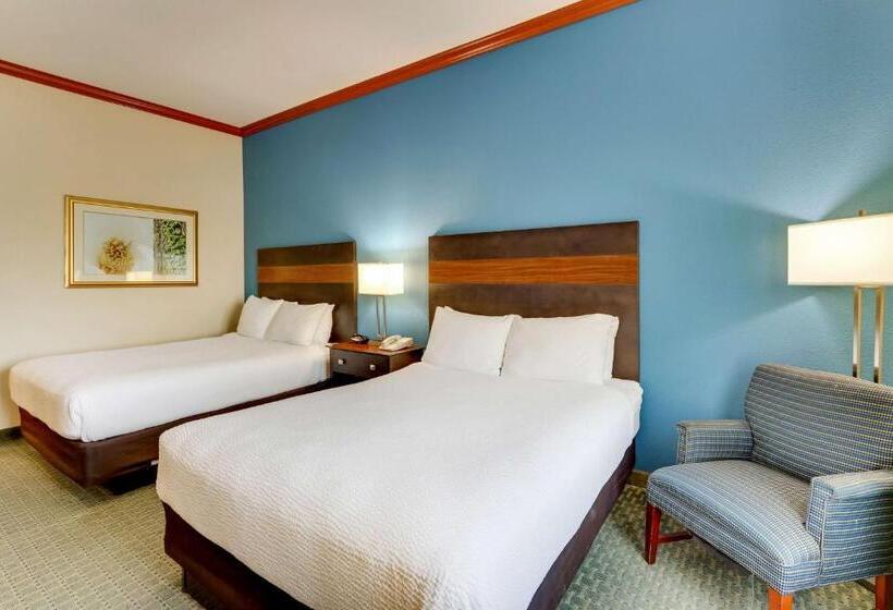 Номер Стандарт, Comfort Inn & Suites