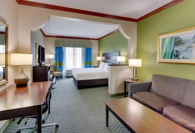 Люкс Адаптированный для Инвалидов, Comfort Inn & Suites