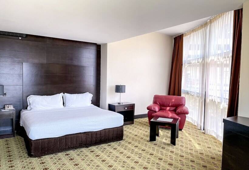 اتاق استاندارد با تخت بزرگ, Hilton Queretaro