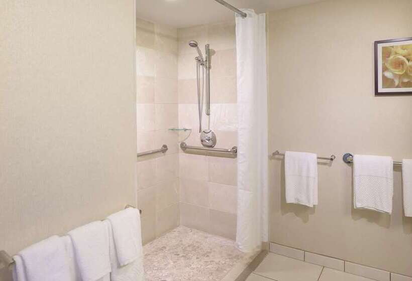 디럭스 전망 룸, Hilton Branson Convention Center