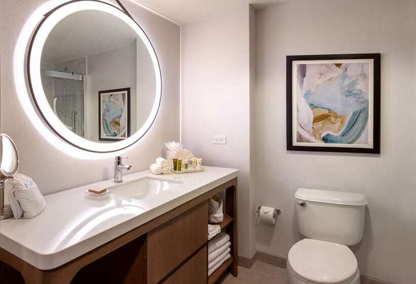 스탠다드 룸 킹사이즈 침대, Hilton Branson Convention Center