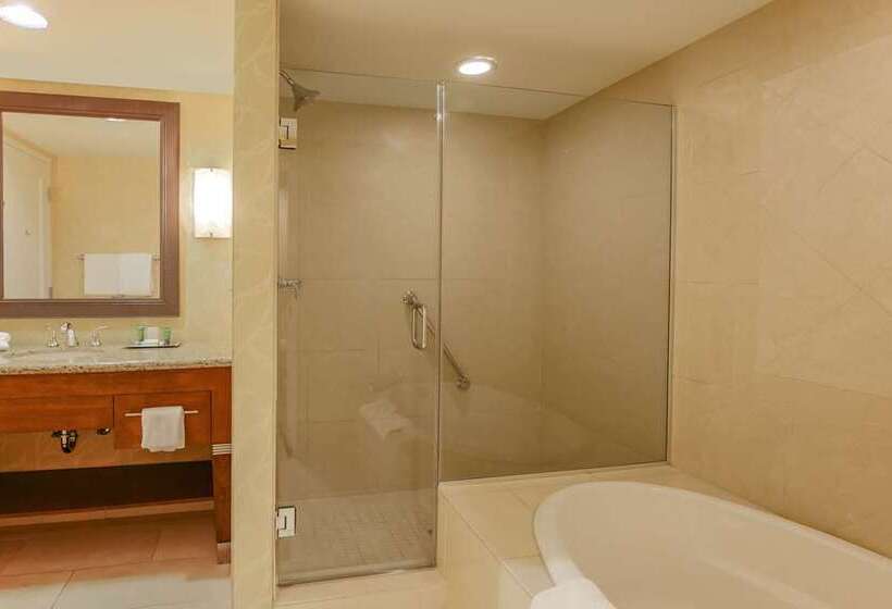침실 1개 아파트, Hilton Branson Convention Center