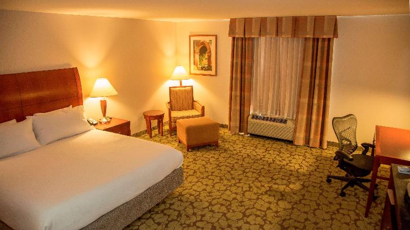 キングサイズベッドのスタンダードルーム, Hilton Garden Inn Colorado Springs Airport