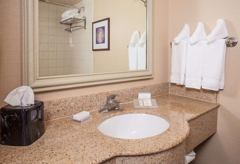 스위트, Hilton Garden Inn El Paso / University