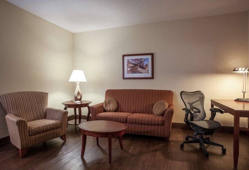 스위트, Hilton Garden Inn El Paso / University