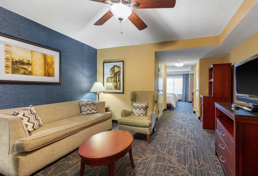Полулюкс, Hilton Garden Inn Tupelo