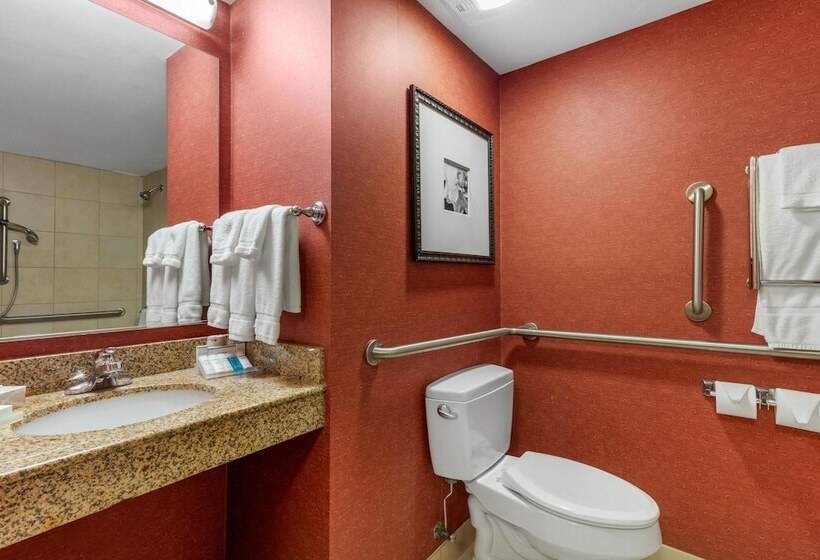 Номер Стандарт Адаптированный для Инвалидов, Hilton Garden Inn Tupelo