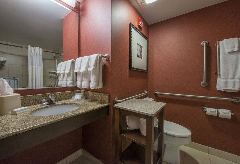 Номер Стандарт Адаптированный для Инвалидов, Hilton Garden Inn Tupelo