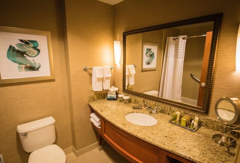 Номер Стандарт Двуспальная Кровать, Hilton St. Petersburg Carillon Park