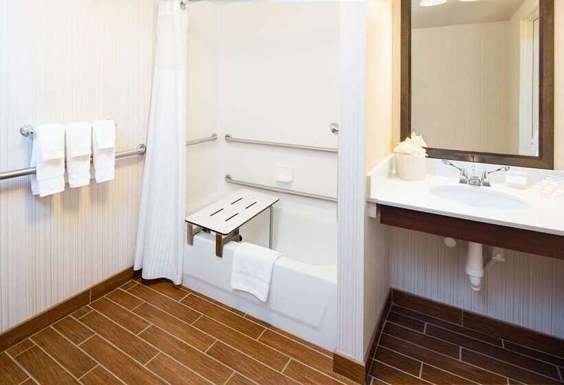 Номер Стандарт, Hilton St. Petersburg Carillon Park