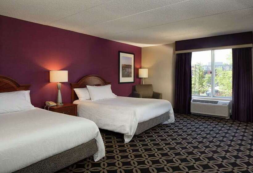 Номер Стандарт, Hilton St. Petersburg Carillon Park