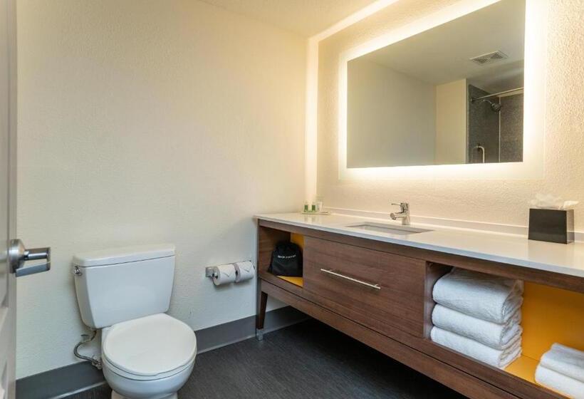 Президентский Люкс, Holiday Inn Hotel & Suites Beaufort At Highway 21, An Ihg