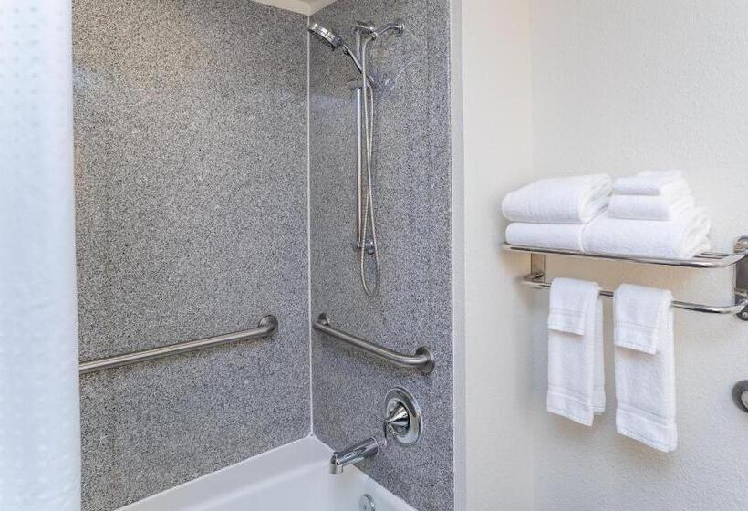 Президентский Люкс, Holiday Inn Hotel & Suites Beaufort At Highway 21, An Ihg