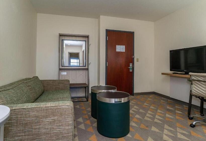 Номер Стандарт Адаптированный для Инвалидов, Holiday Inn Hotel & Suites Beaufort At Highway 21, An Ihg