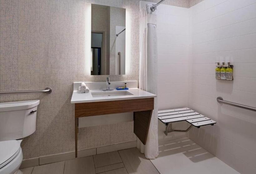 Номер Стандарт Кровать Кинг Адаптированный для Инвалидов, Holiday Inn Express & Suites Cedar Park , An Ihg
