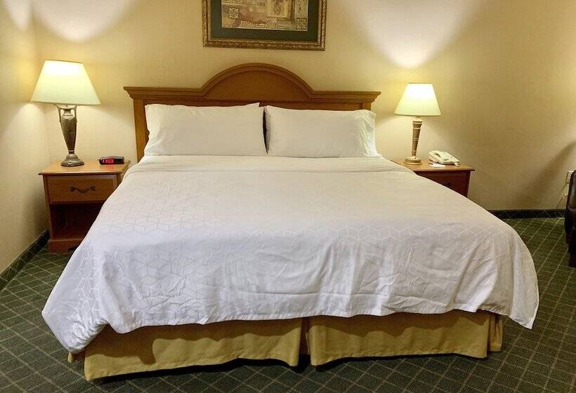 Standard Szoba, Holiday Inn Express Hotel And Suites Alice, An Ihg