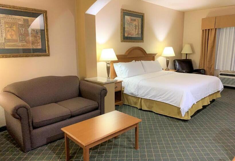 Suite King Size Bed, Holiday Inn Express Hotel And Suites Alice, An Ihg