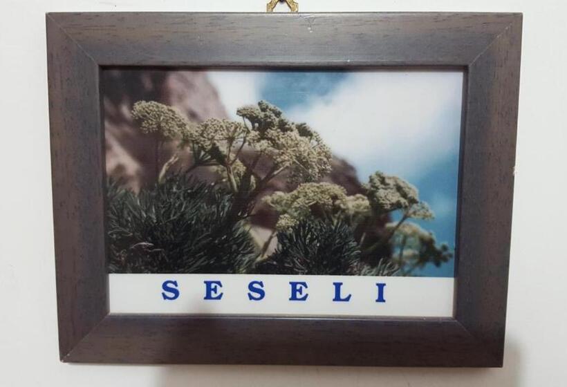 Номер Basic, Isoladelmiele
