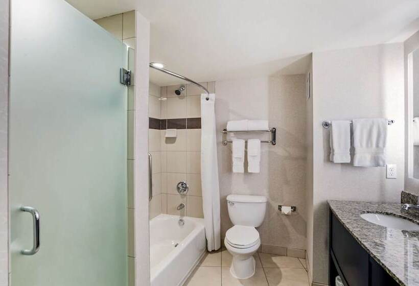 Номер Стандарт Двуспальная Кровать, Best Western Plus Marina Gateway