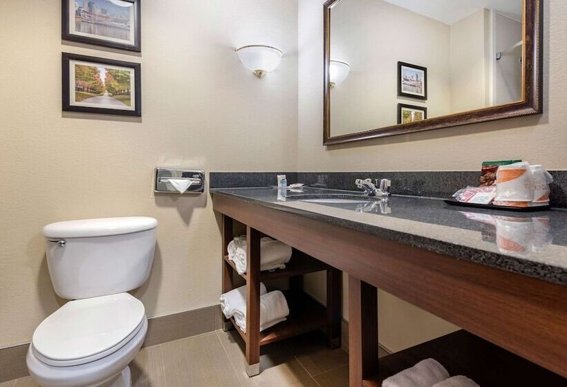 Люкс Адаптированный для Инвалидов, Comfort Suites Cincinnati Airport