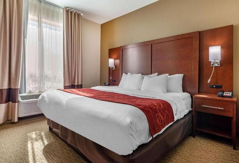 Люкс Кровать Кинг, Comfort Suites Cincinnati Airport