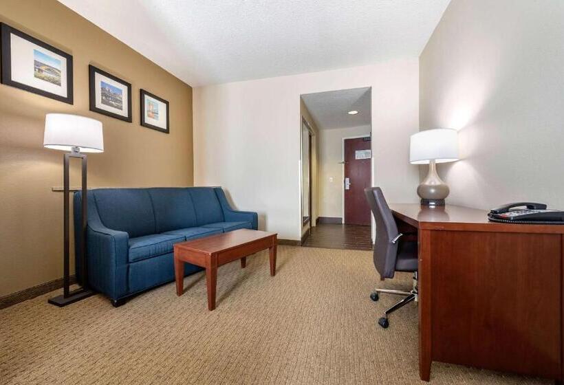 Люкс Кровать Кинг, Comfort Suites Cincinnati Airport