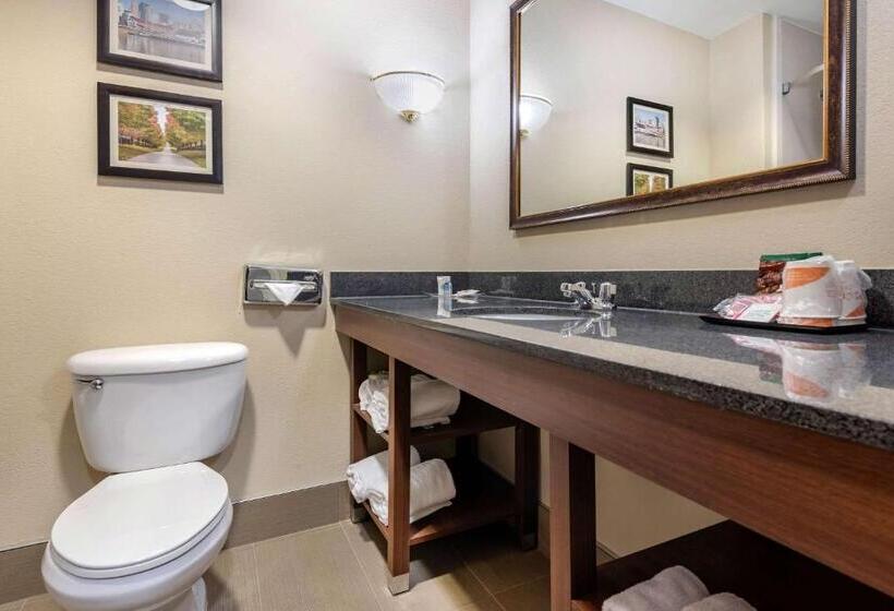 Люкс, Comfort Suites Cincinnati Airport