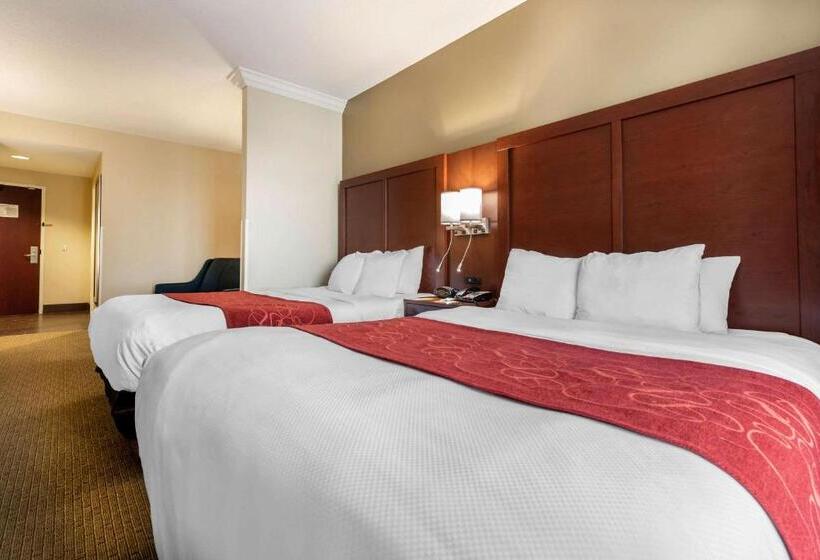 Люкс, Comfort Suites Cincinnati Airport