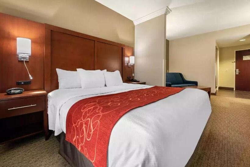 Люкс Адаптированный для Инвалидов, Comfort Suites Cincinnati Airport