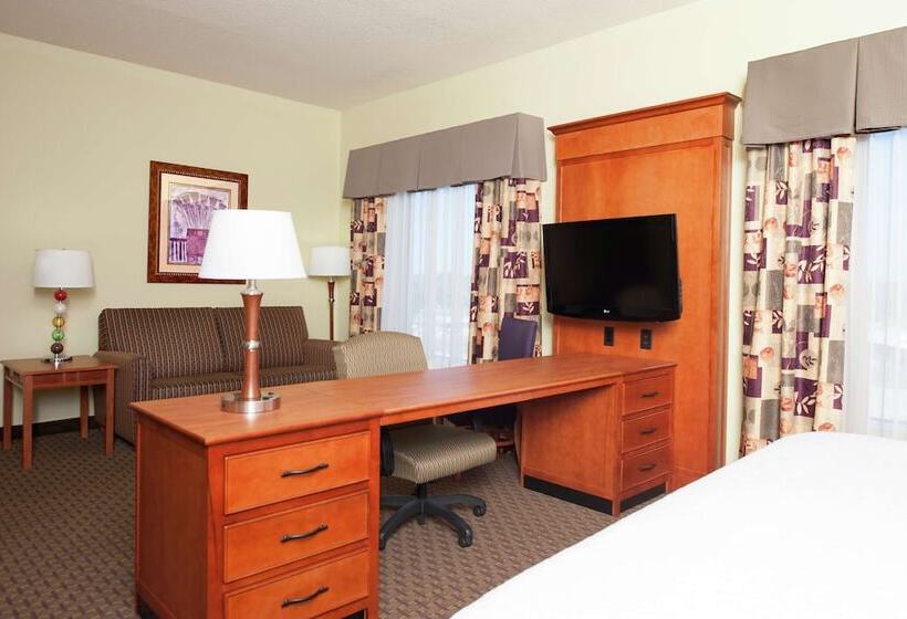 Standard Stúdió Szoba, Hampton Inn & Suites Molinequad City Int L Aprt