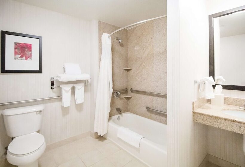 장애인을 위한 스탠다드 룸, Hilton Garden Inn Phoenix/Avondale