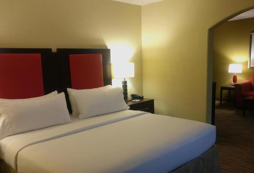Номер Стандарт Кровать Кинг Адаптированный для Инвалидов, Holiday Inn Express Hotel & Suites Waller, An Ihg