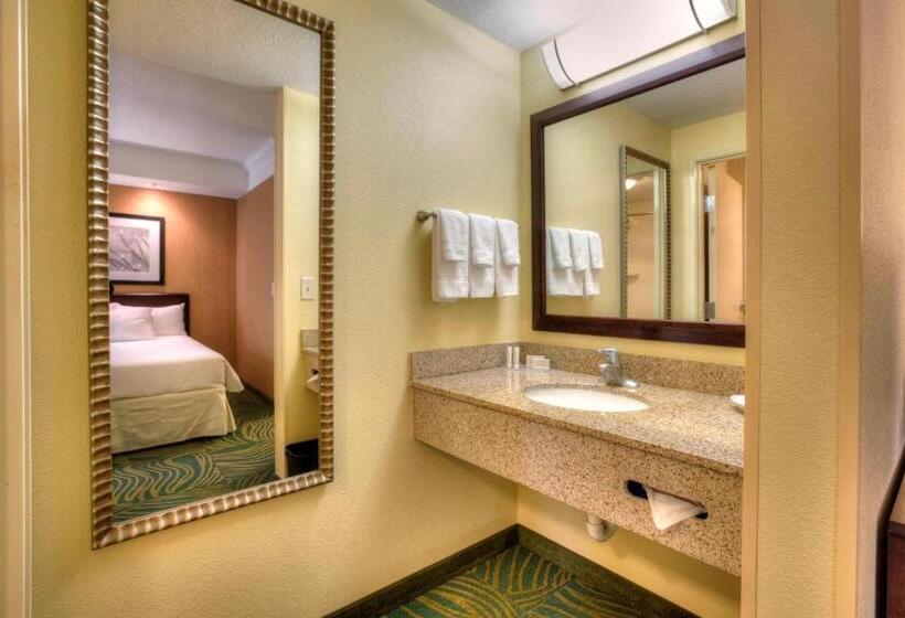 标准工作室, Springhill Suites By Marriott   Tampa Brandon