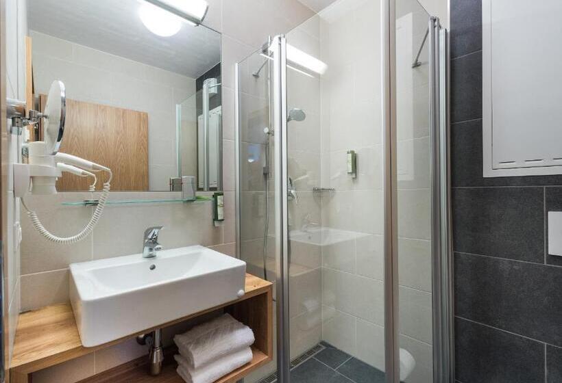 Апартаменты 1 Спальня, Alpenparks Hotel & Apartment Central Zell Am See
